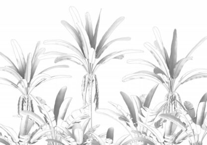 R4-051 - Image 2