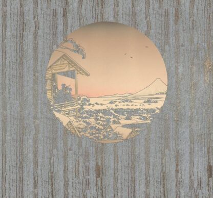 RSX6-036 - Image 2