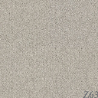 63029