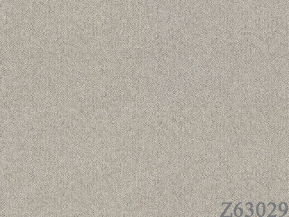 63029