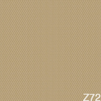 72020