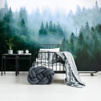 13757 - Image 6