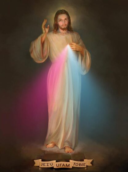 13785 - Image 2