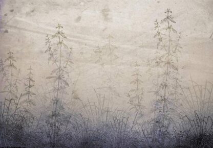 13789 - Image 2