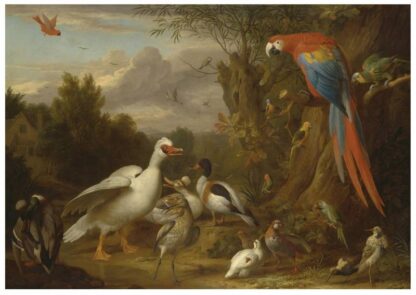 13323 - Image 3