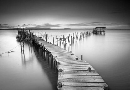12638 - Image 2