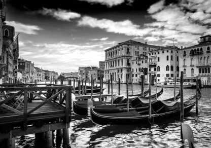 12649 - Image 2
