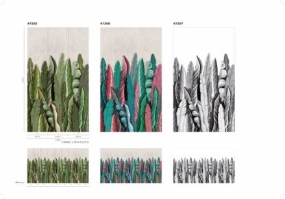 47205 - Image 3