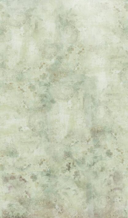 47258 - Image 2