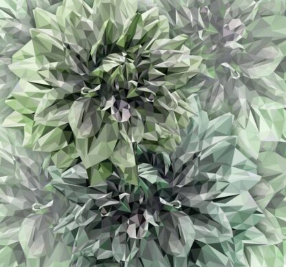 INX6-036 - Image 2