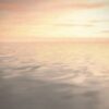 INX6-064 - Image 2