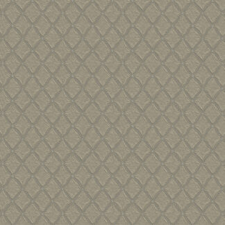 50520