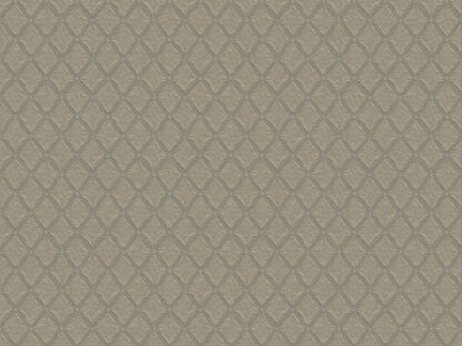 50520