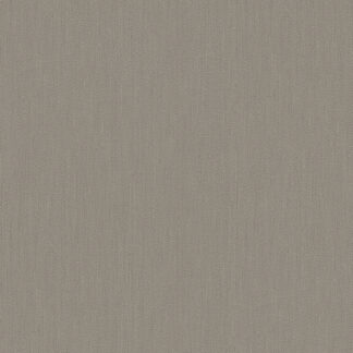 50523