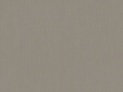 50523