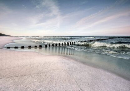 12284 - Image 2