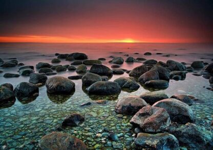 13031 - Image 2
