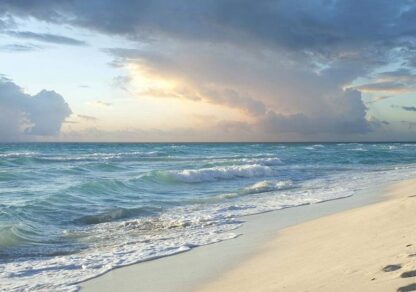 13037 - Image 2