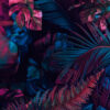 13950 - Image 2