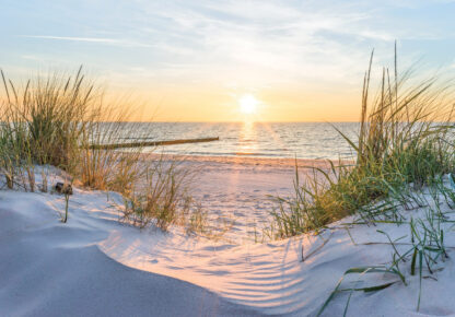 14020 - Image 3