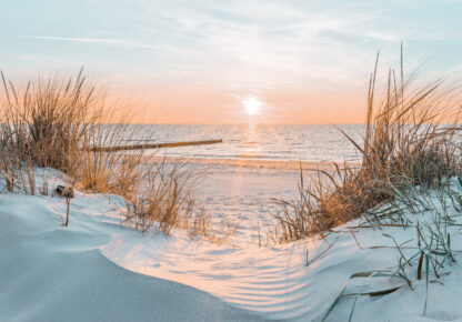 14021 - Image 3