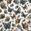 14023 - Image 3