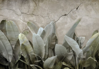 13945 - Image 3