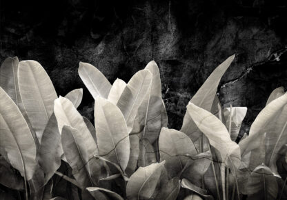13946 - Image 2