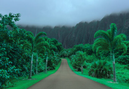 13988 - Image 3