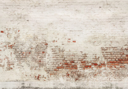 13993 - Image 2