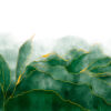 14127 - Image 2