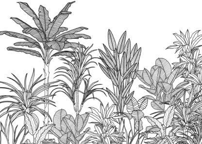 LJX7-048 - Image 2