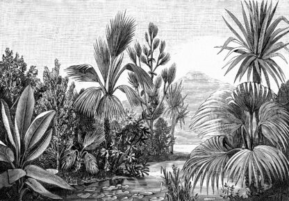 14135 - Image 3