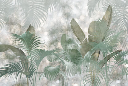 XXL4-1033 - Image 2