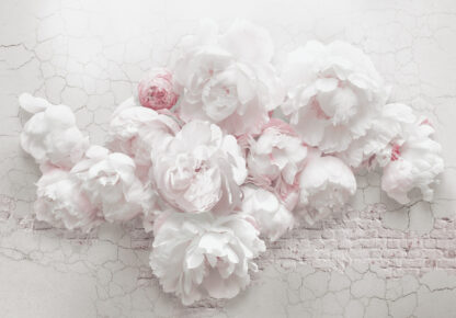 14171 - Image 2