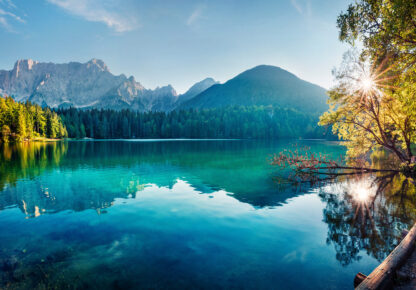14191 - Image 2