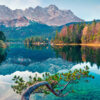 14197 - Image 2
