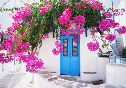 14199 - Image 2