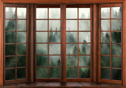 14206 - Image 2