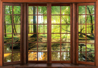 14208 - Image 2
