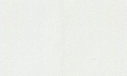 19020