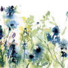14229 - Image 2