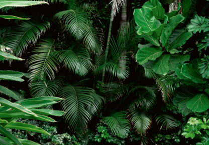 14402 - Image 2