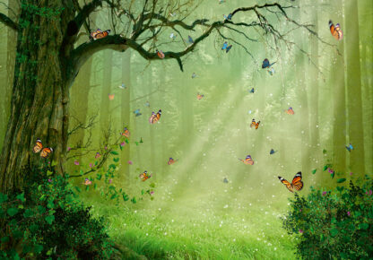 14403 - Image 2