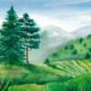 14404 - Image 2