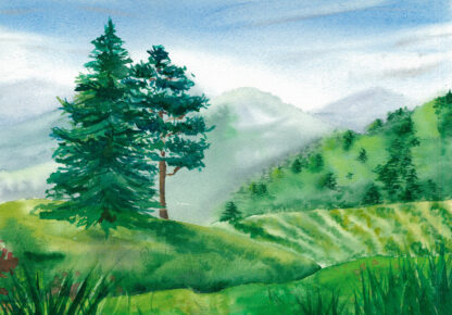 14404 - Image 2