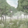 14405 - Image 2