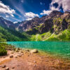 14303 - Image 3