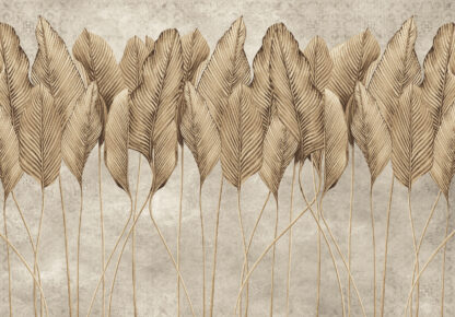 14429 - Image 2
