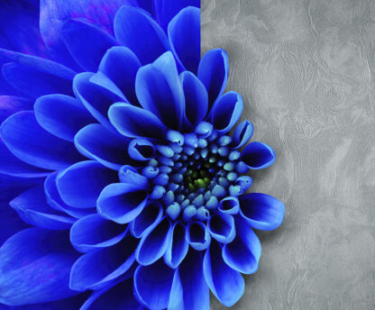 76049 - Image 2